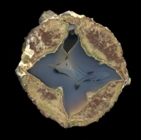 White Rock Springs Thunderegg